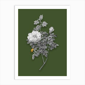 Vintage Ventenats Rose Black and White Gold Leaf Floral Art on Olive Green n.0112 Art Print