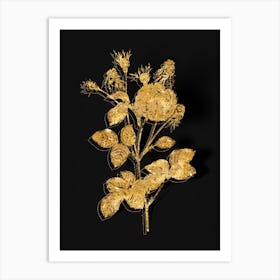 Vintage Pink Agatha Rose Botanical in Gold on Black Art Print