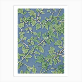 Paper Mulberry 2 tree Vintage Botanical Art Print