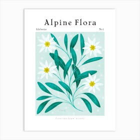 Alpine Flora Edelweiss Art Print