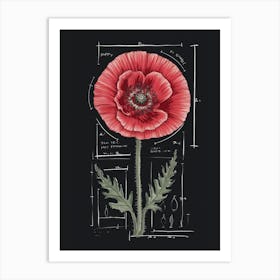 Poppy Flower Art Print