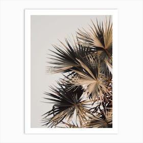 Summer Palms Art Print