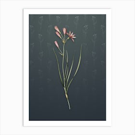 Vintage Amaryllis Montana Botanical on Slate Gray Pattern n.0954 Art Print