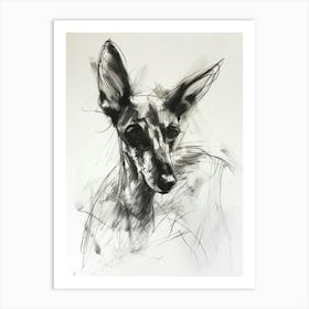 Ibizan Hound Dog Charcoal Line 3 Art Print