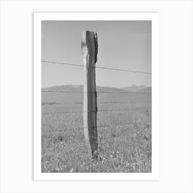 Fence On Cruzen Ranch,Valley County, Idaho, Aaa (Agricultural Adjustment Administration) Has Painted Out This Art Print