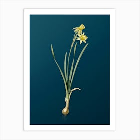 Vintage Narcissus Calathinus Botanical Art on Teal Blue n.0354 Art Print