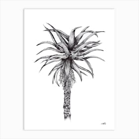 Black and White Aloe Art Print