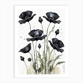 Black Poppies Art Print