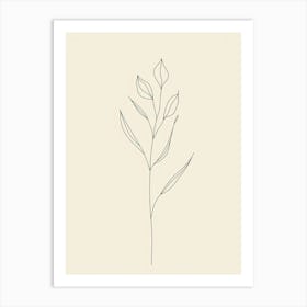 Line Drawing Of A Plant Art Print