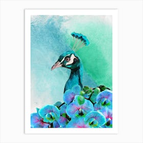 Peacock With Orchids Art Print