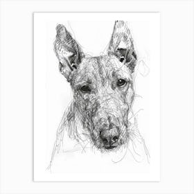 Bull Terrier Dog Line Sketch 1 Art Print