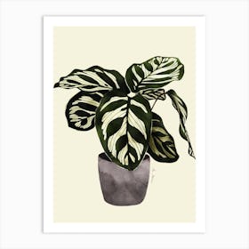 Calathea Plant Art Print