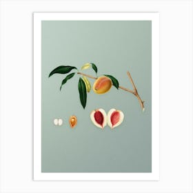 Vintage Peach Botanical Art on Mint Green n.0179 Art Print