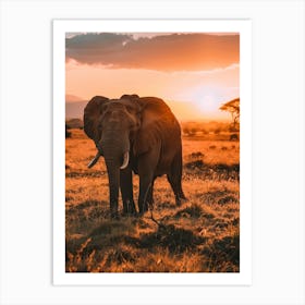 Elephant At Sunset In Kenya Art Print