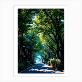 Street Lined With Trees Art Print