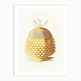 Pollen Beehive 3 Vintage Art Print