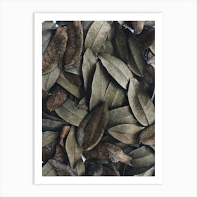 Dried Leaves Art Print