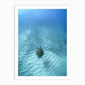 Turtle's Journey Art Print