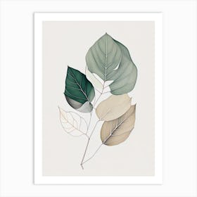 Eucalyptus Leaf Contemporary Art Print
