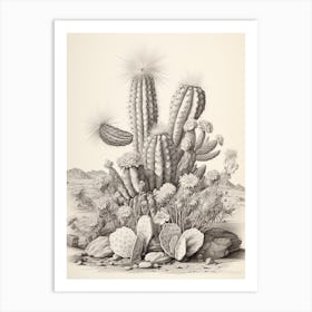 Vintage Cactus Illustration Bishops Cap Cactus B&W Art Print