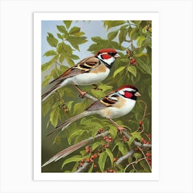 House Sparrow 2 Haeckel Style Vintage Illustration Bird Art Print