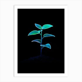 Plant Growing On The Ground Art Print