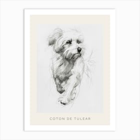 Coton De Tulear Dog Line Sketch 1 Poster Art Print
