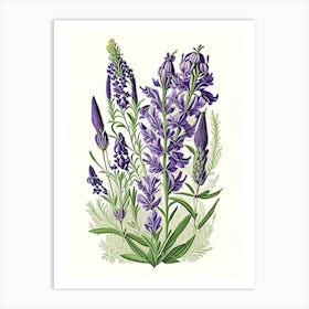 Lavender Floral 2 Botanical Vintage Poster Flower Art Print