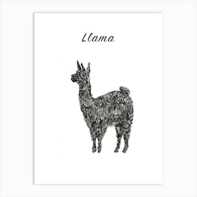 B&W Llama Poster Art Print