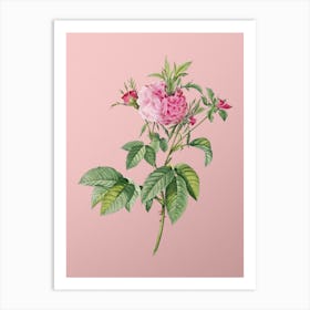 Vintage Pink Agatha Rose Botanical on Soft Pink n.0609 Art Print