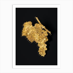 Vintage Grape Vine Botanical in Gold on Black n.0581 Art Print