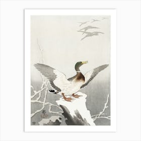 Duck On Snowy Tree Stump (1900 1910), Ohara Koson Art Print