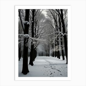 Snowy Forest 4 Art Print