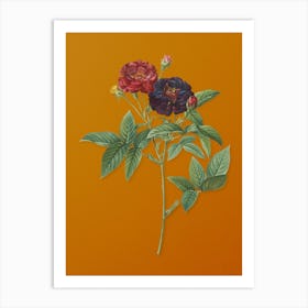 Vintage Van Eeden Rose Botanical on Sunset Orange n.0358 Art Print