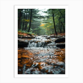 Stream In The Woods Art Print