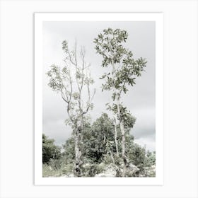 Botanical Trees With Cloudy Sky Art Print