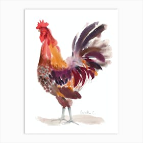 Crasy Rooster Art Print