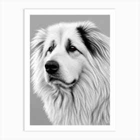 Belgian Sheepdog B&W Pencil Dog Art Print