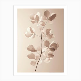 Eucalyptus Art Print