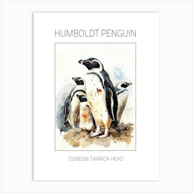 Humboldt Penguin Dunedin Taiaroa Head Watercolour Painting 2 Poster Art Print