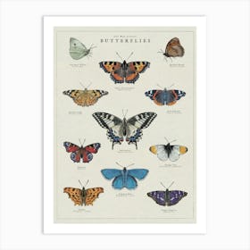 Butterflies Art Print Art Print