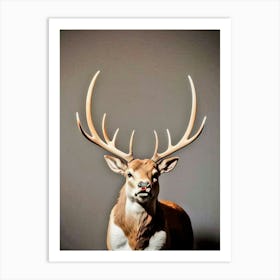 Deer Head 31 Art Print