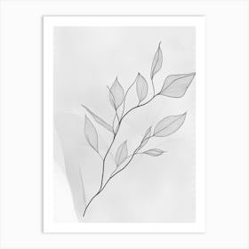 Branch Of Leaves Art Print