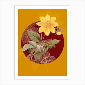 Vintage Botanical Dahlia Simplex on Circle Red on Yellow n.0148 Art Print