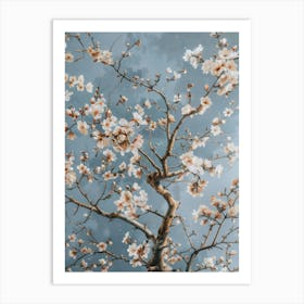 Cherry Blossoms 38 Art Print