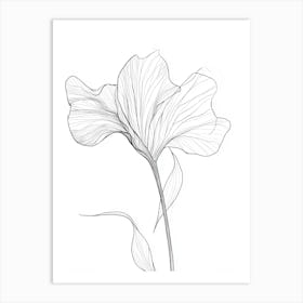 Flower Drawing 3 Art Print