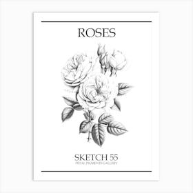 Roses Sketch 55 Poster Art Print