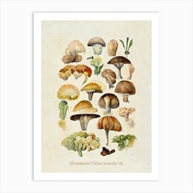 Mushroom Collection 02 Art Print