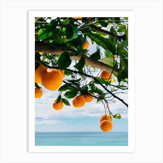 Amalfi Coast Oranges IV Art Print