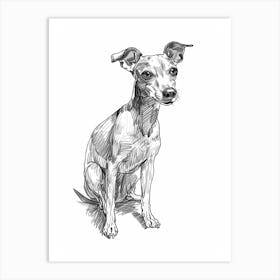 American Greyhound Dog Line Sketch 1 Art Print